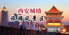 俄罗斯阴户视频中国陕西-西安城墙旅游风景区