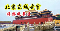 乱伦小浪屄中国北京-东城古宫旅游风景区